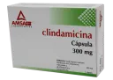Clindamicina 300 Mg Con 16 Cápsulas (Amsa)