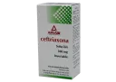 Ceftriaxona Im 500 Mg Solución Inyectable 2 Ml