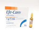 Efe-Carn 1 G Con 5 Solución Inyectable