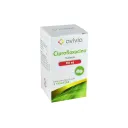 Ciprofloxacino 250 Mg Con 8 Tabletas (Avivia)