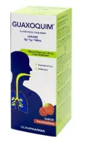Guaxoquim Adulto 2/1 G Jarabe Con 140 Ml