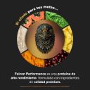 Birdman Falcon Performance Choco Bronze con 722 g