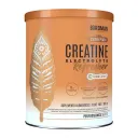 Birdman Refresher Golden Peach Con 300 G