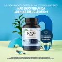 Life 360+ Nad+ Blend Con 30 Cápsulas