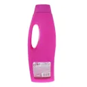 Caprice Especialidades Control Caída Con Extracto De Mamey Shampoo Con 750 Ml