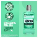Listerine Anticaries Zero Alcohol Enjuague Bucal Con 500 Ml