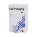 Traxicoli 1 Gr Solución Inyectable Con 1 Frasco Con Ámpula