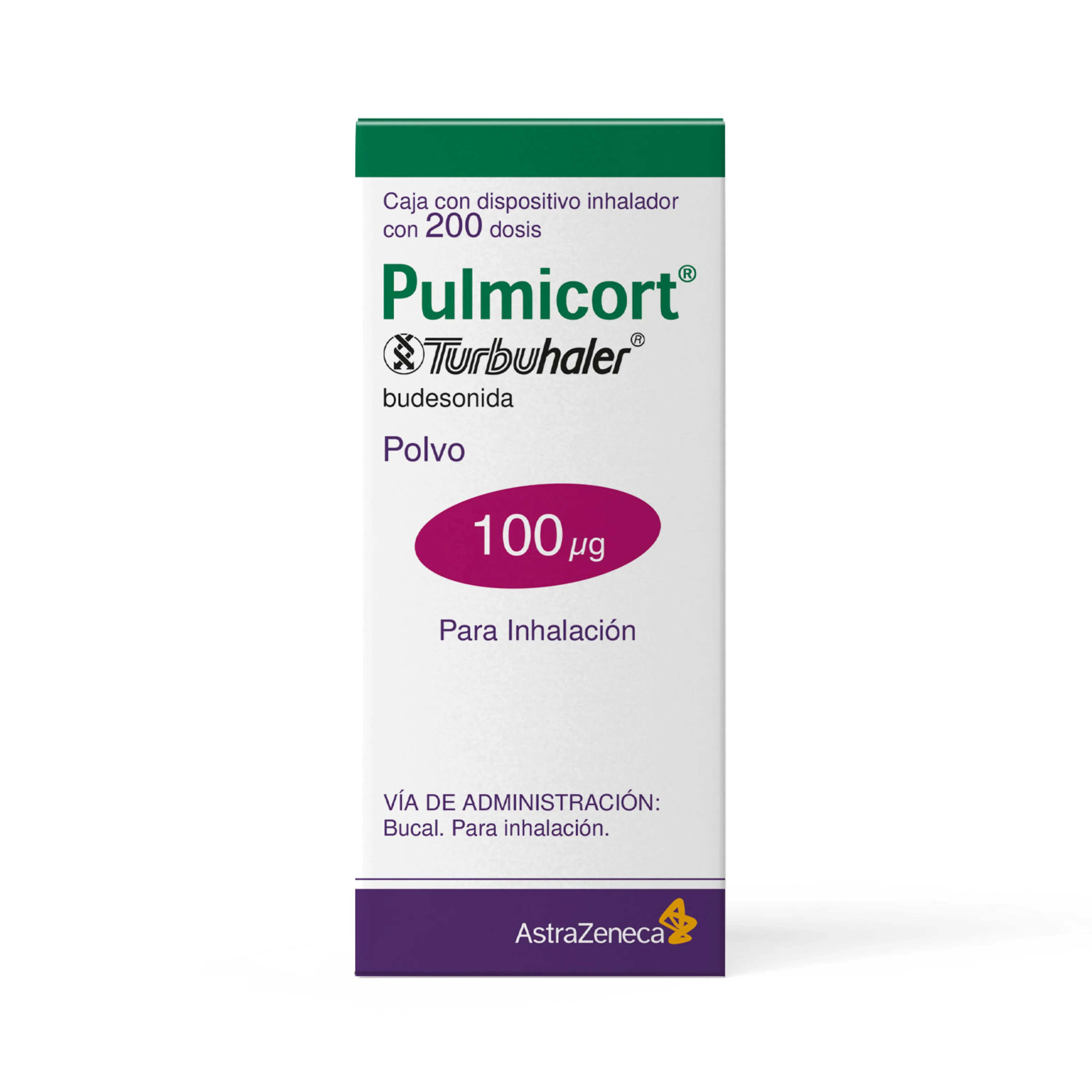 Pulmicort Turbuhaler 100 Mcg Polvo Frasco Dosificador Con 200 Dosis