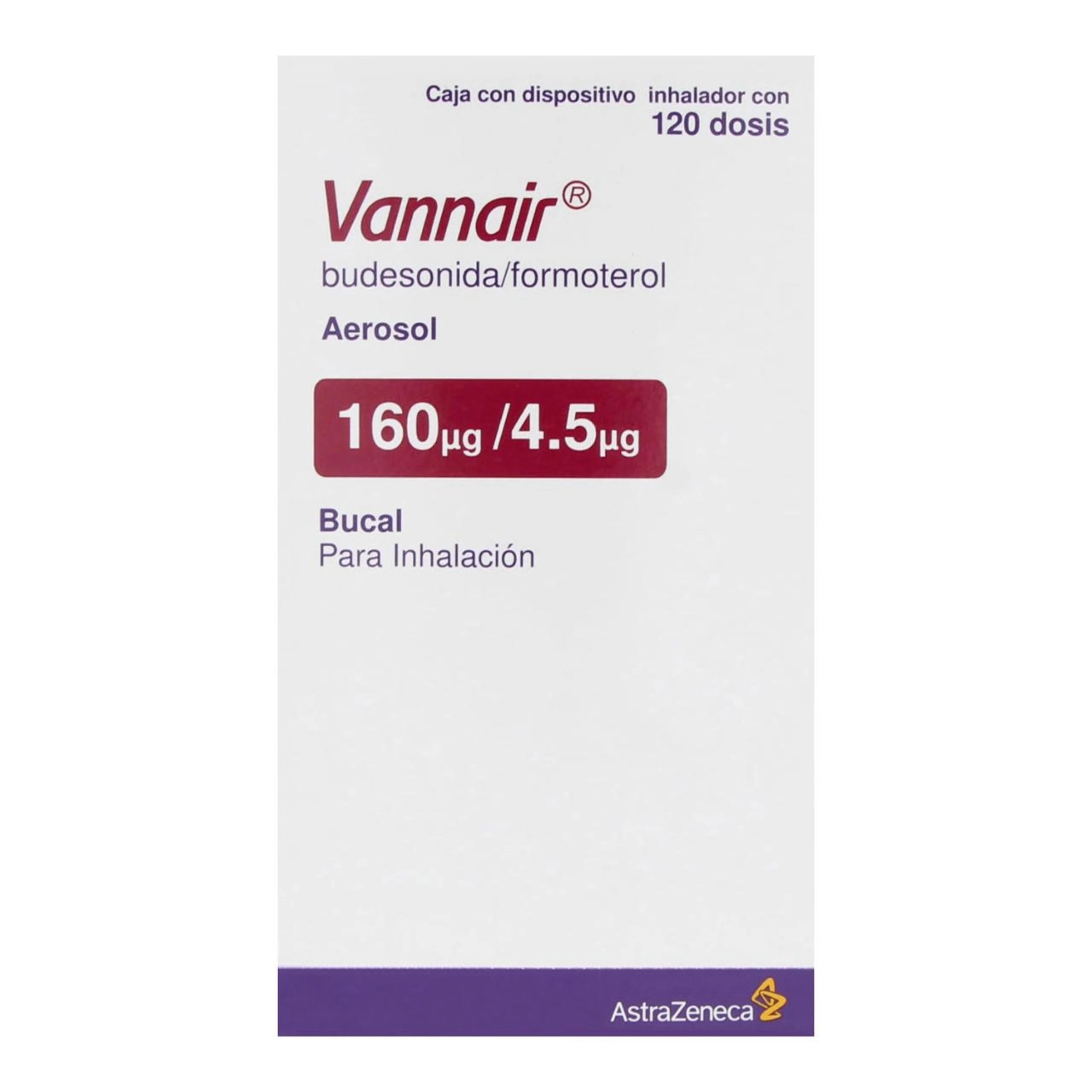Vannair 160/4.5 Mcg Aerosol Bucal 120 Dosis