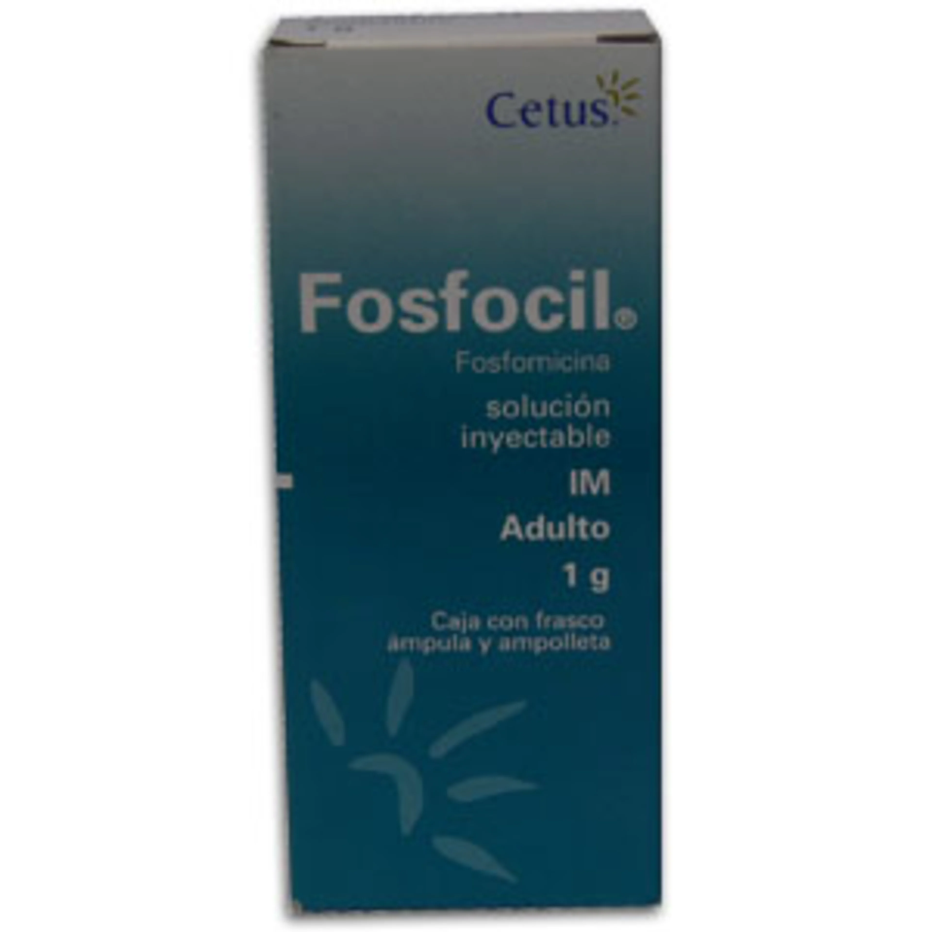 Fosfocil Fosfomicina 1 G Frasco Ámpula