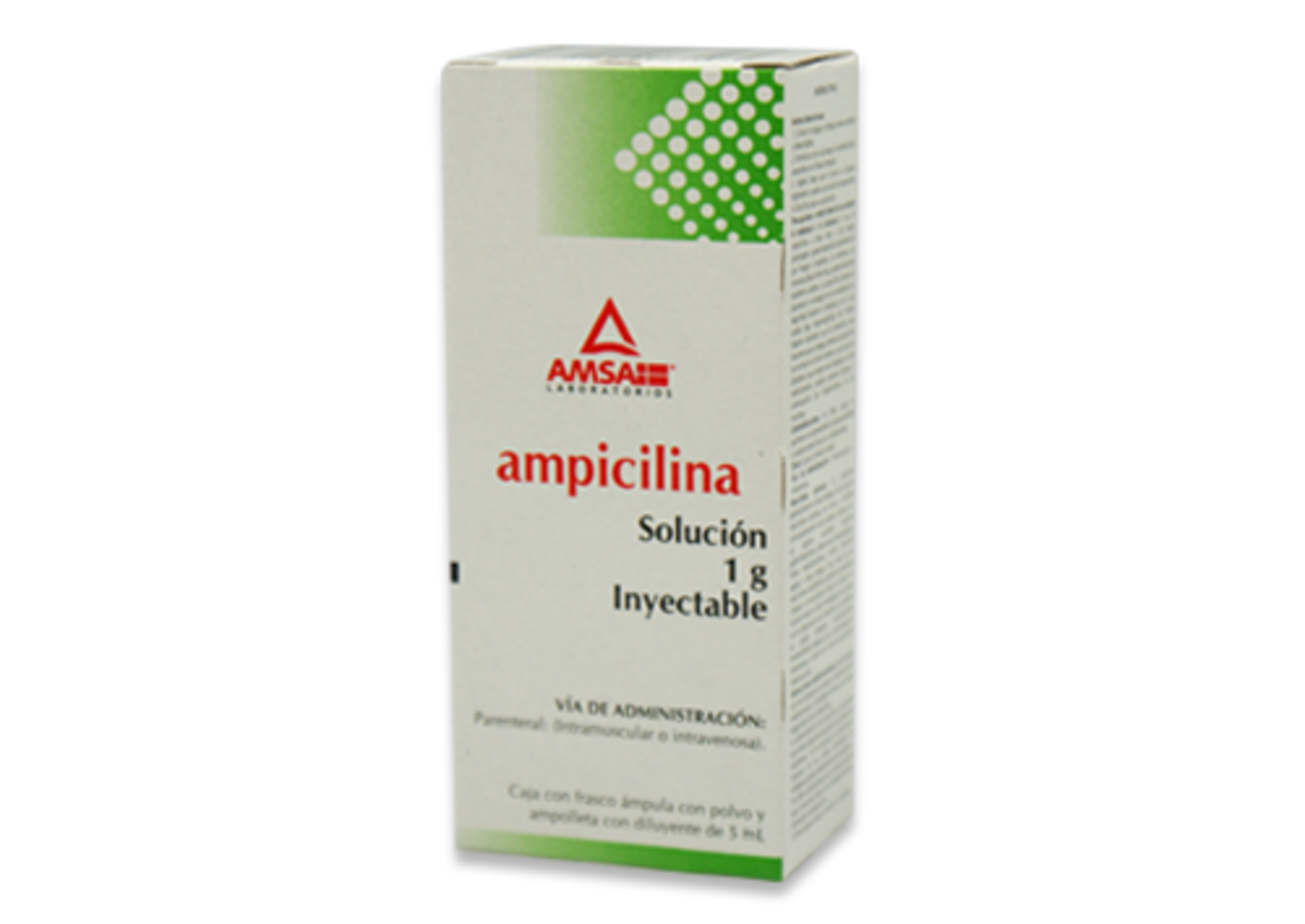 Ampicilina 1 G Solución Inyectable 5 Ml