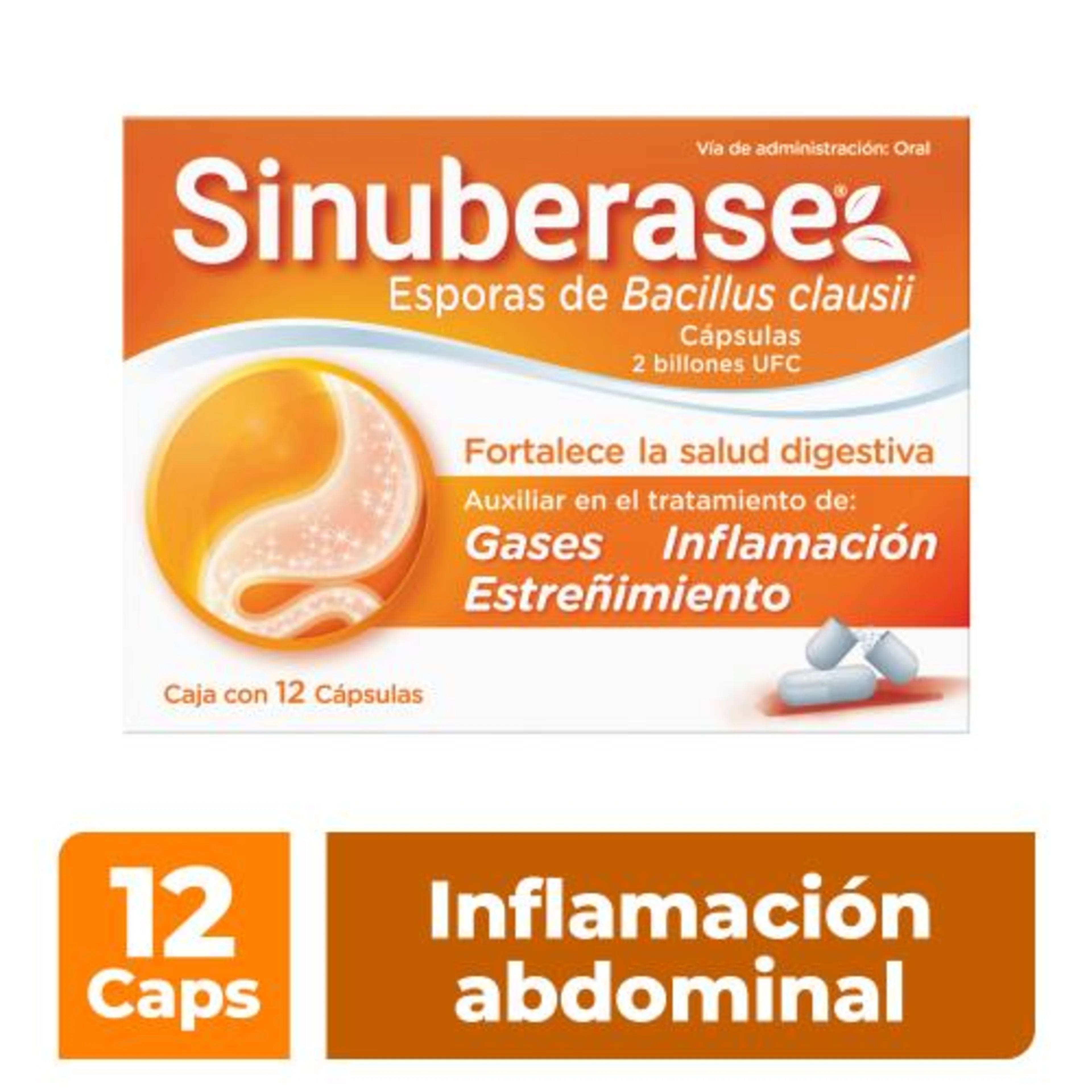 Sinuberase Probióticos Auxiliar 12 Cápsulas
