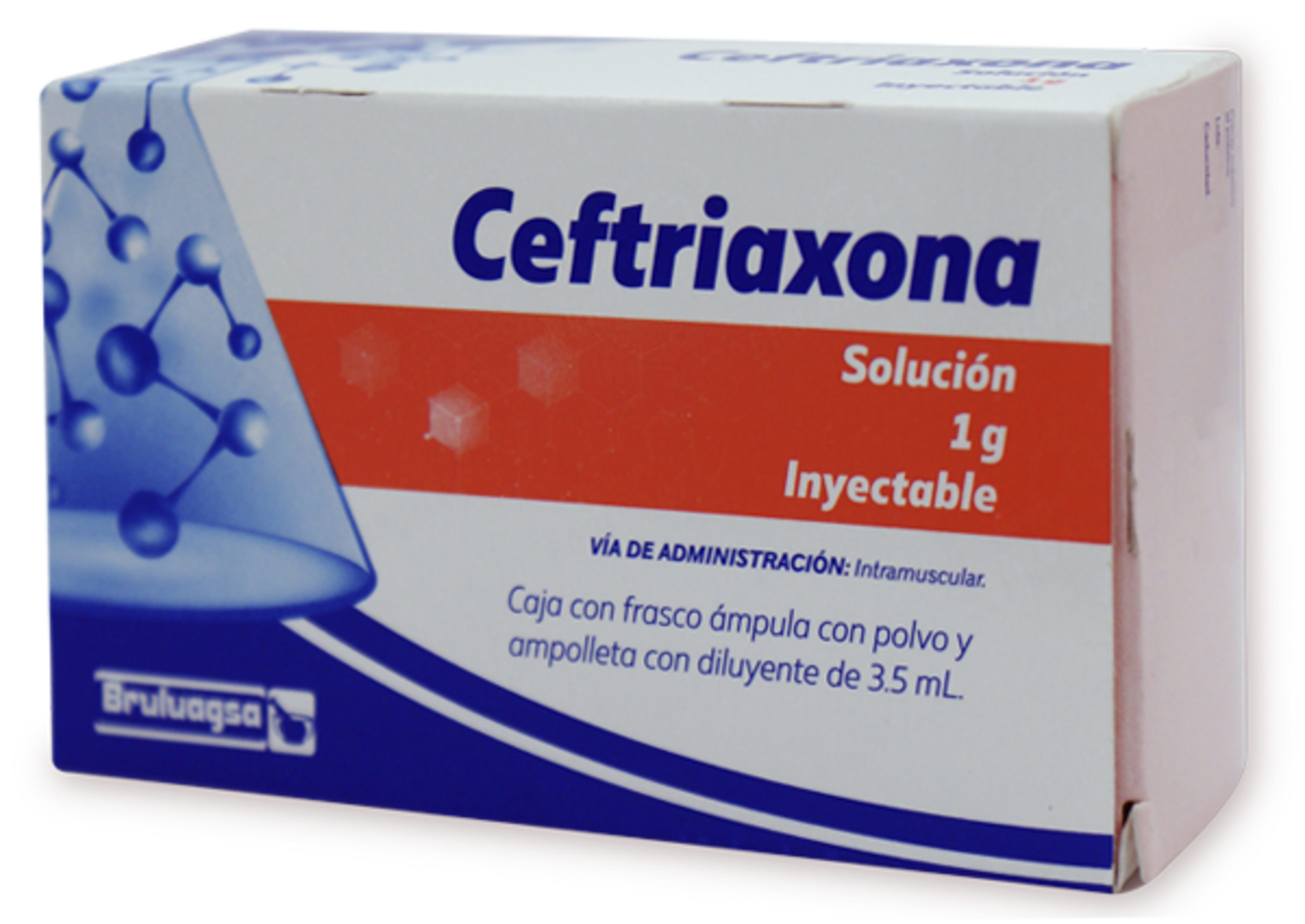 Ceftriaxona Ceftriaxona Lidocaína 1 G Solución Inyectable 3.5 Ml