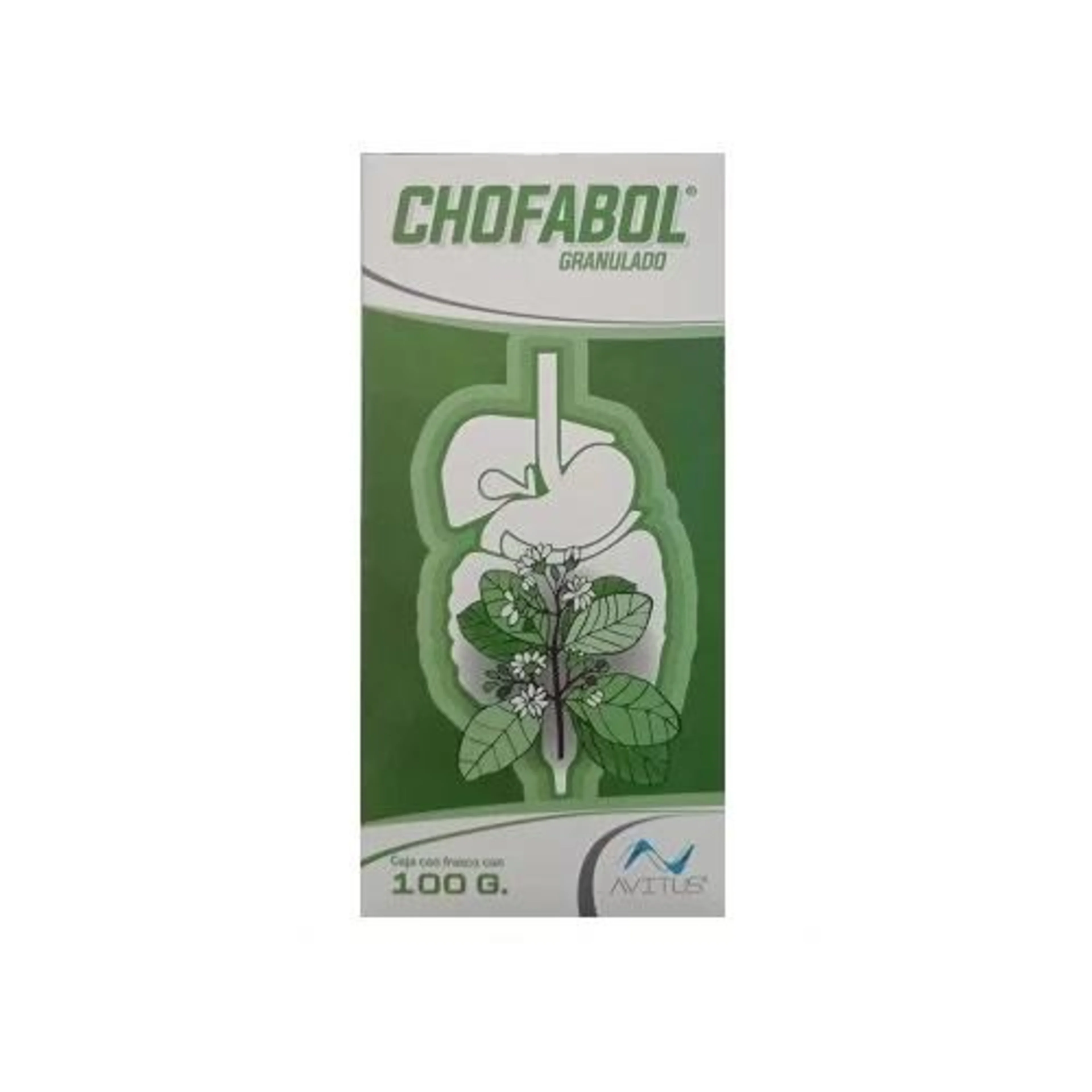 Chofabol silimarina granulado 100 g – Caja