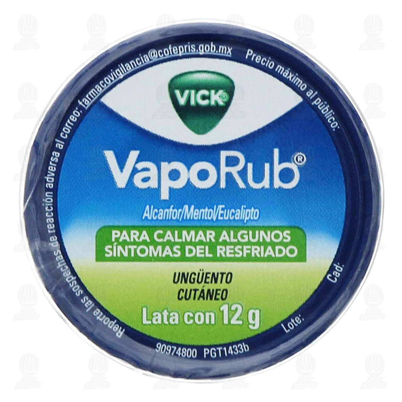 Comprar Videocamara Digital Portatil Sumergible Rca Farmacia Prixz