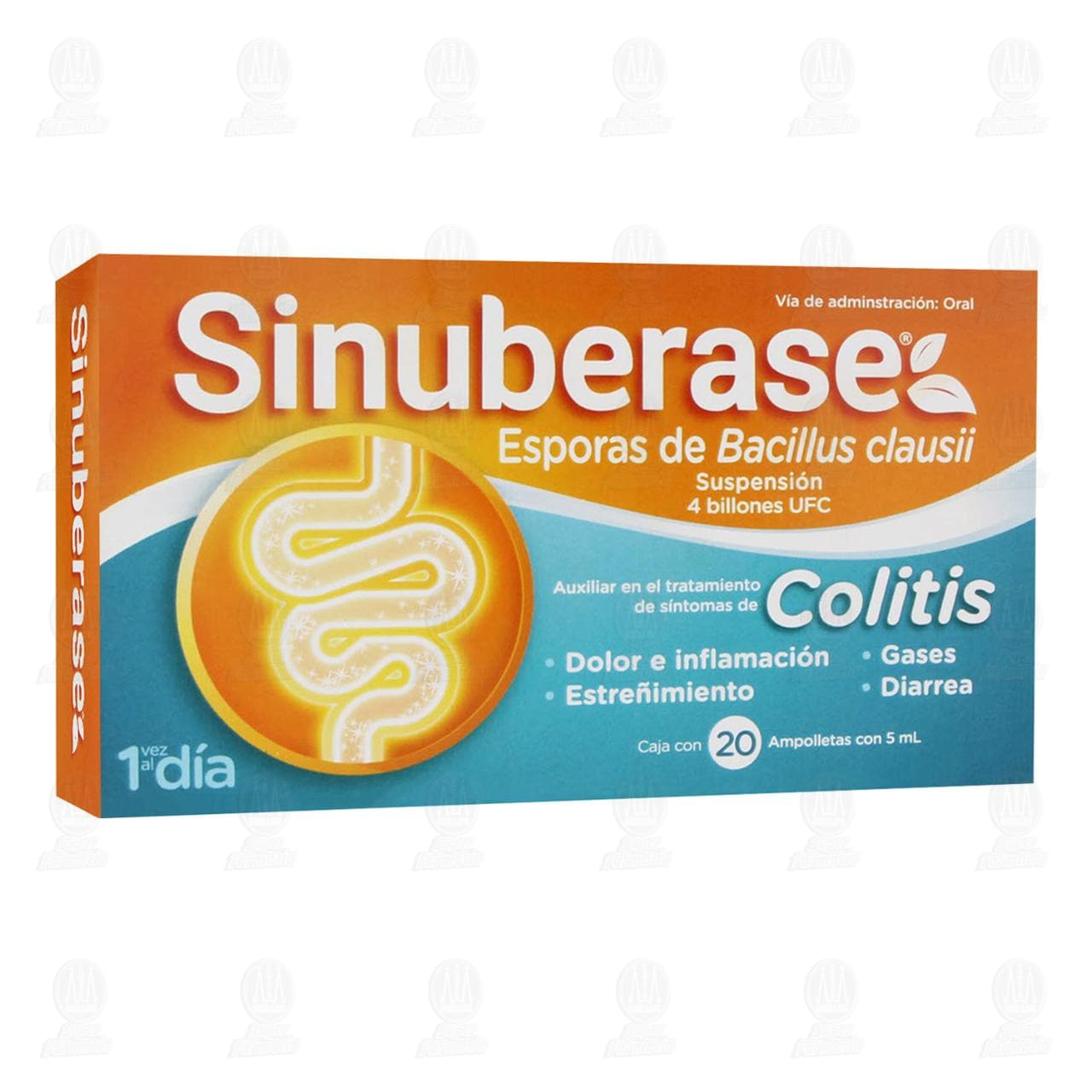 Comprar Sinuberase Colitis Probióticos 20 Ampolletas 5ml - Farmacia Prixz