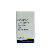 Indinem 1 G Solución Inyectable