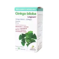 Lingnum Ginkgo Biloba con 30 Cápsulas