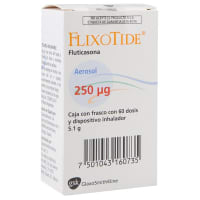 Flixotide 250 Mcg Aerosol 60 Dosis