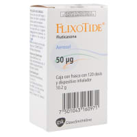 Flixotide 50 Mcg Aerosol 120 Dosis