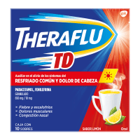 Theraflu Td 650/10 Mg Granulado Con 10 Sobres Sabor Limón