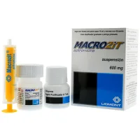 Macrozit Azitromicina 600 Mg Suspensión Oral 15 Ml