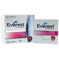 Everest 4 Mg Granulado Con 20 Sobres
