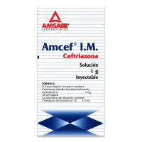 Amcef Im 1 G Solución Inyectable 3.5Ml