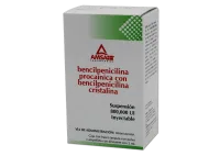 Bencilpenicilina Procaínica Penicilina G 800000 Ui Suspensión Inyectable Ampolleta 2 Ml
