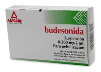 Budesonida 0.500 Mg Suspensión Para Inhalación Con 5 Frascos Con Ámpula