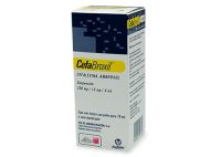 Cefabroxil Ambroxol Cefalexina 250/15 Mg Suspensión Oral 75 Ml