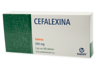 Cefalexina Cefalexina 500 Mg Con 20 Tabletas