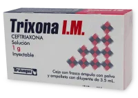 Trixona Im Ceftriaxona Lidocaína 1 G Con 1 Frasco Ámpula