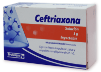 Ceftriaxona Ceftriaxona Lidocaína 1 G Solución Inyectable 3.5 Ml