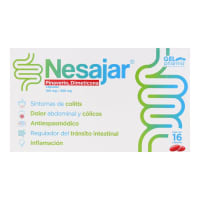 Nesajar 100/300 Mg Con 16 Cápsulas
