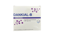 Dankial-B 0.250 Mg Con 5 Ampolletas