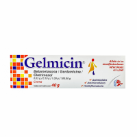 Gelmicin Crema Con 40 G
