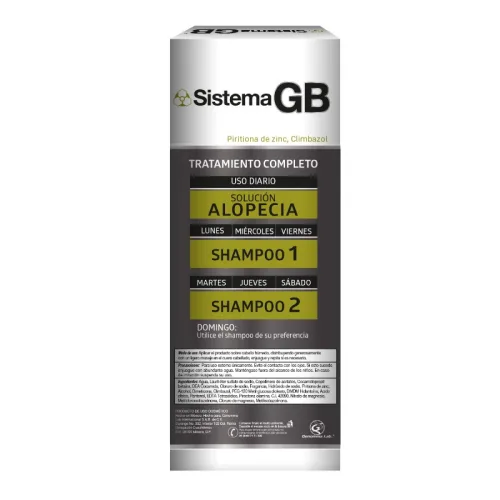 Sistema Gb Shampoo Paso 2 Con 230 Ml