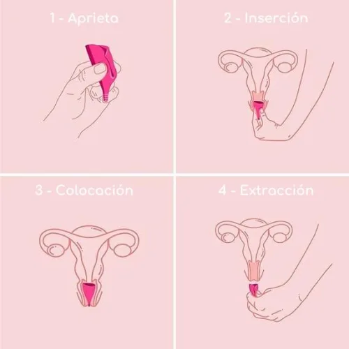 Comprar Intimina Copa Menstrual Lily Cup Compact A