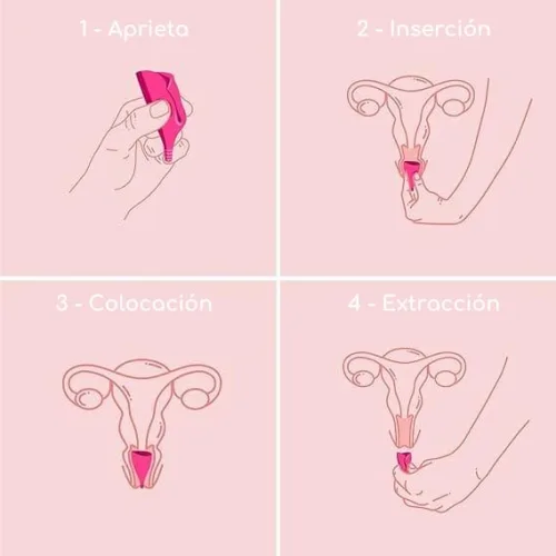 Comprar Intimina Copa Menstrual Lily Cup Compact B