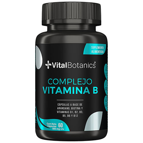 VitalBotanics Hierro y Vitamina C 60 capsulas Suplemento