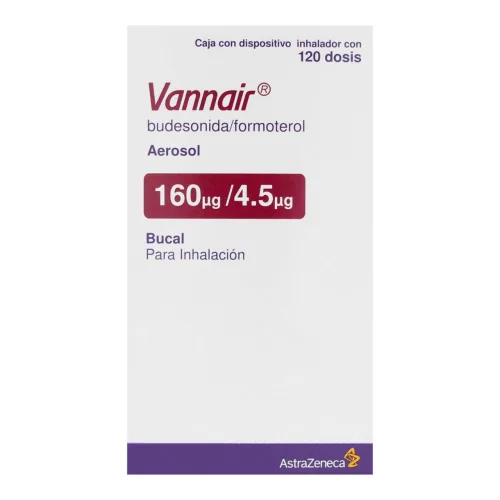 Comprar Vannair 160/4.5 Mcg Aerosol Bucal 120 Dosis