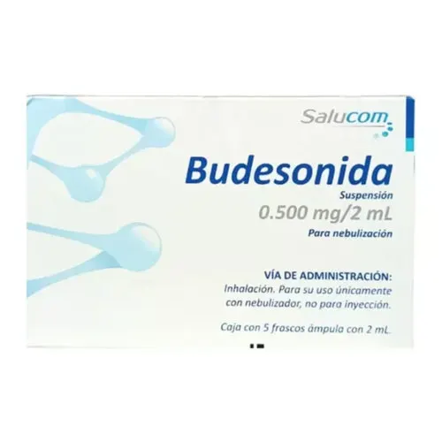 Budesonida 0.5 Mg/2 Ml Con 5 Frascos