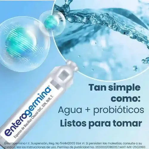 Enterogermina 4 Billones Suspensión Con 10 Ampolletas