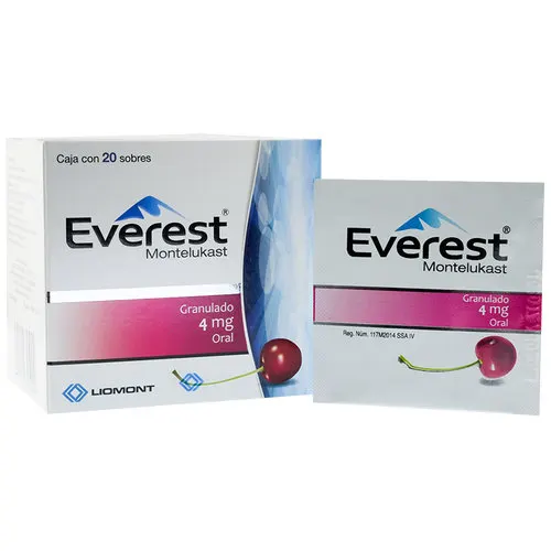 Everest 4 Mg Granulado Con 20 Sobres