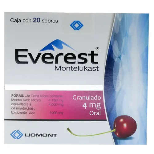 Everest 4 Mg Granulado Con 20 Sobres