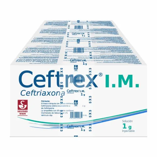 Ceftrex Im 1 G Solución Inyectable Pack 5 Viales