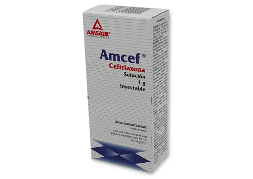 Comprar Amcef 1 G SoluciÓN Inyectable 10 Ml