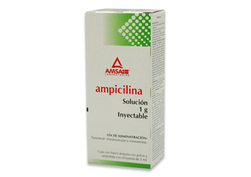 Comprar Ampicilina 1 G SoluciÓN Inyectable 5 Ml