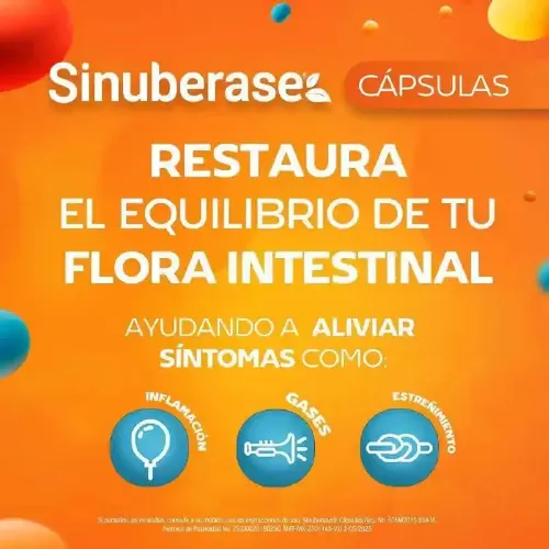 Sinuberase Probióticos Auxiliar 12 Cápsulas